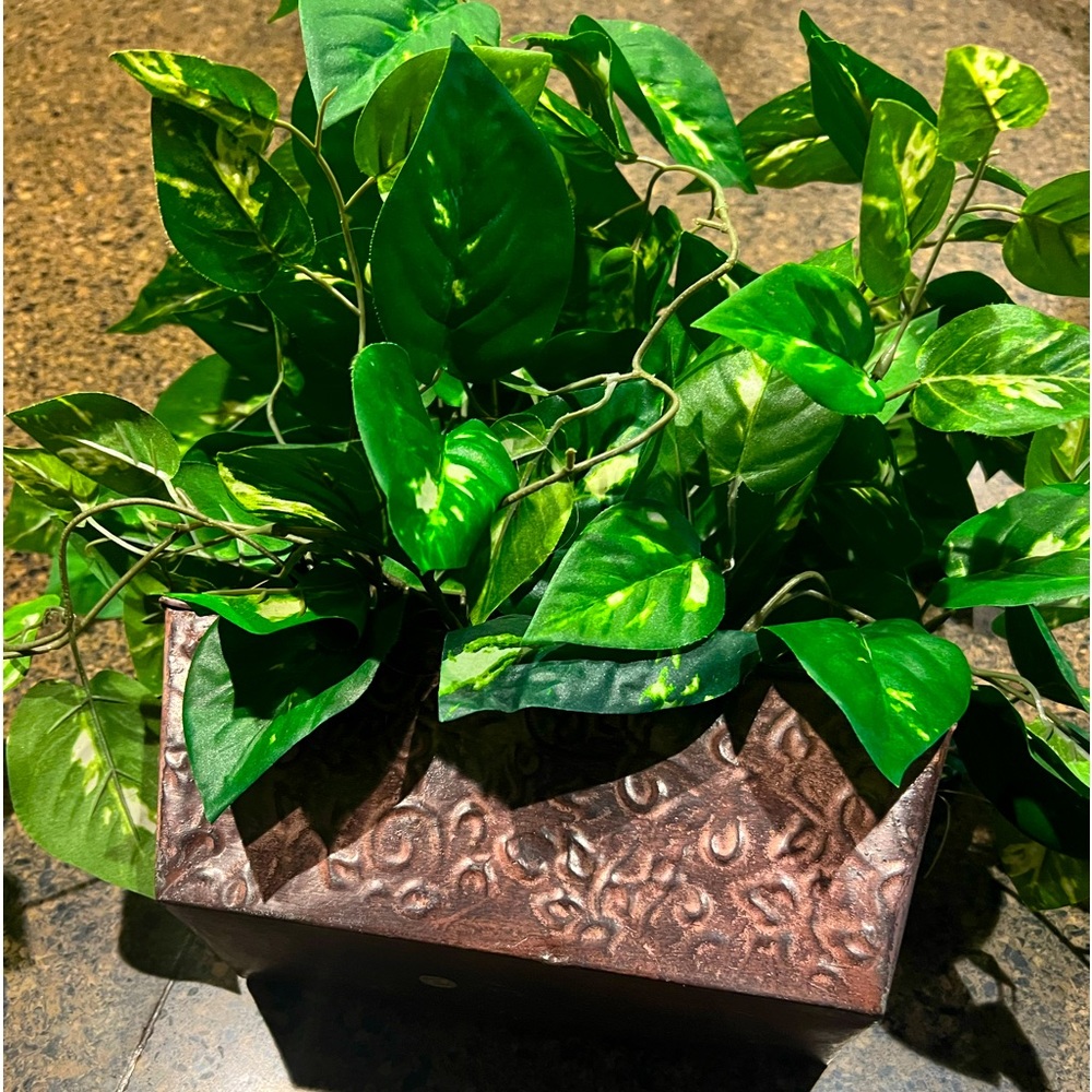 Planter